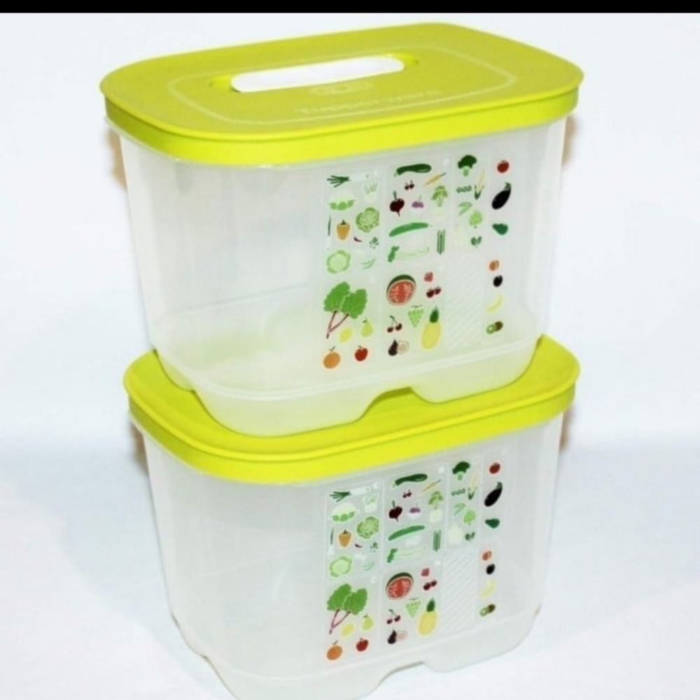 Tupperware Fridge smart 2 Containers